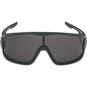 Очила Alpina Legend – black matt / black
