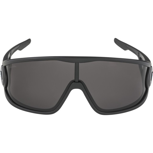 Очила Alpina Legend – black matt / black