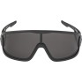 Очила Alpina Legend – black matt / black