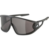 Очила Alpina Legend – black matt / black