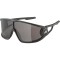 Очила Alpina Legend – black matt / black