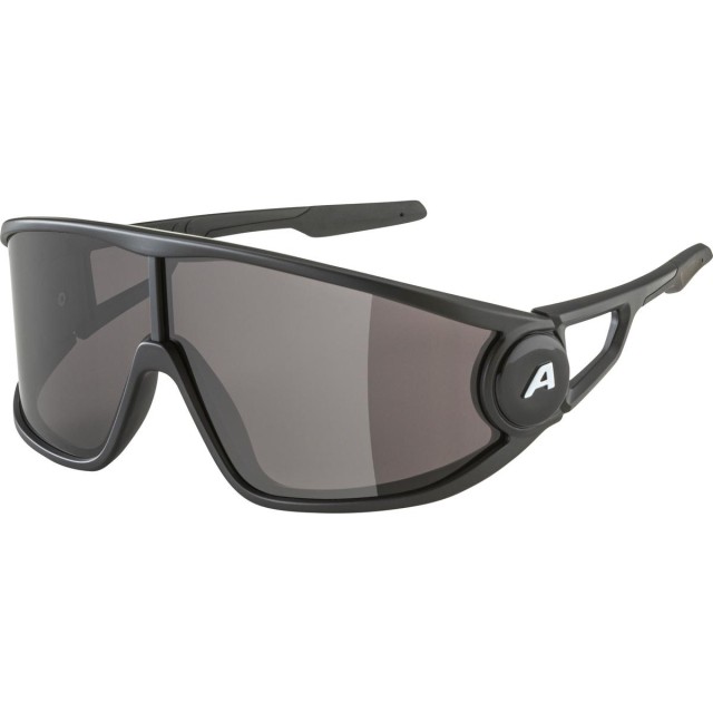 Очила Alpina Legend – black matt / black